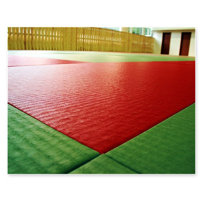Татами Универсал, 1х2х0,04,ППЭ, Judo ткань, открытое дно,160 кг/м3