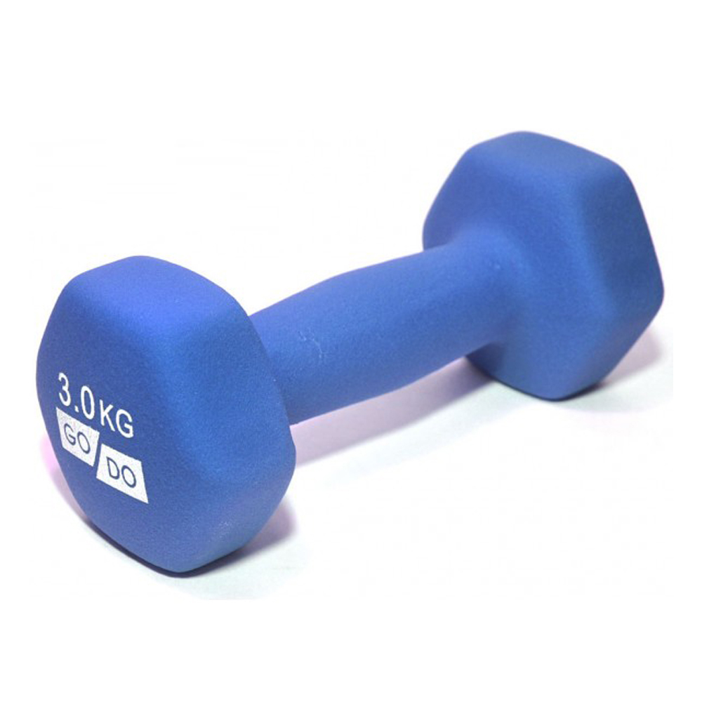 Гантель GO DO 3 кг