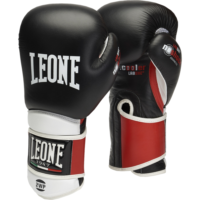 Перчатки Leone Tecnico GN013 16 oz