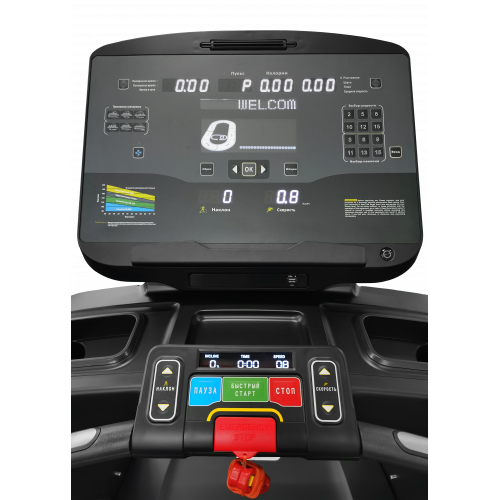 Беговая дорожка CardioPower PRO CT500