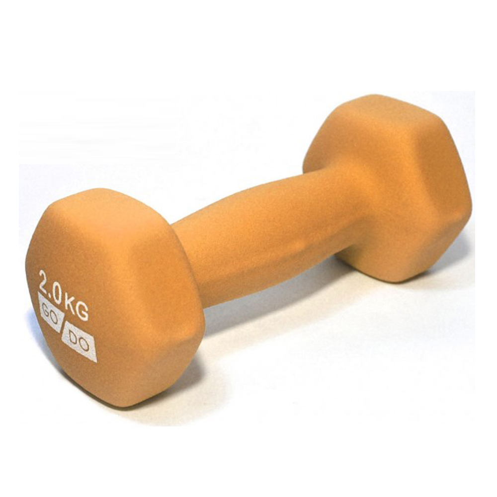 Гантель GO DO 2 кг