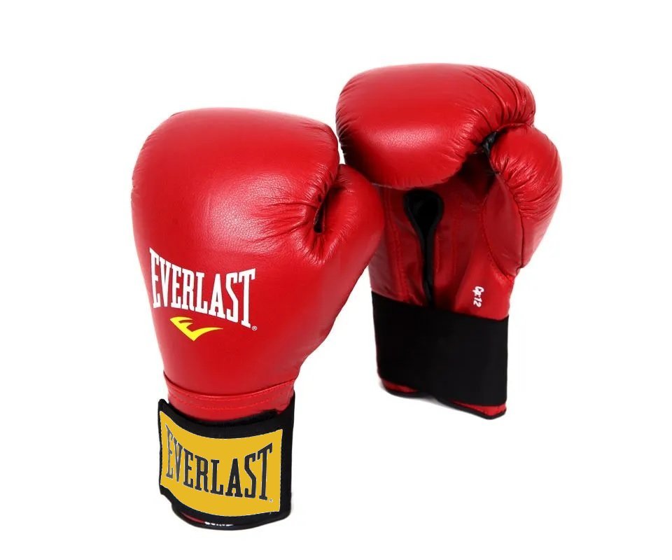 Перчатки боксерские Everlast 14 унц.