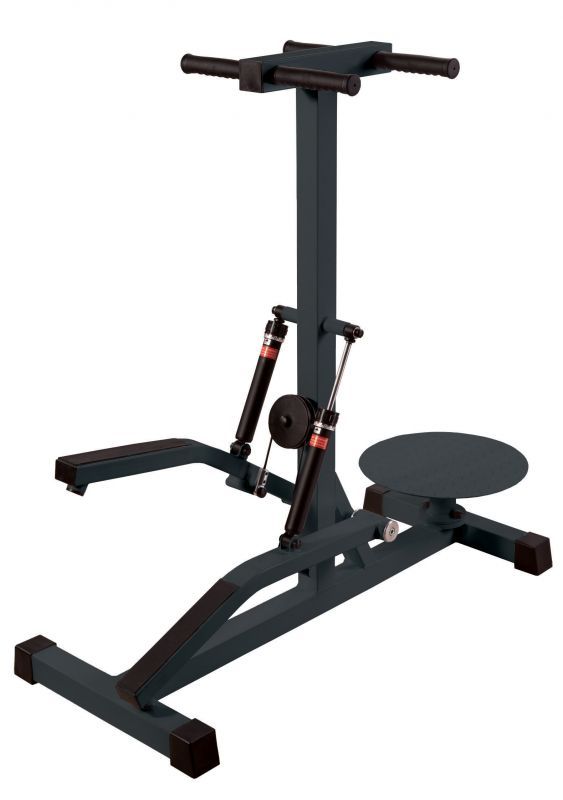 Тренажер комбинированный (твистер-степер) ST-322