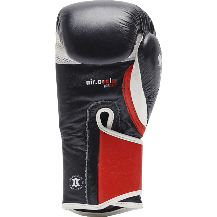 Перчатки Leone Tecnico GN013 16 oz