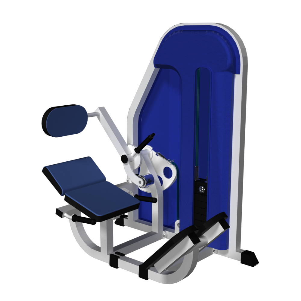 Разгибатель спины