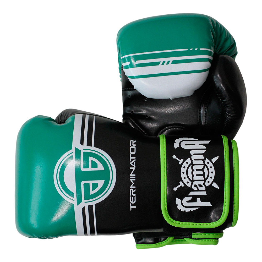 Перчатки для бокса  FLAMMA TERMINATOR 12 oz
