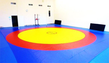 Борцовский ковер трехцветный 10х10м,160 кг/м3