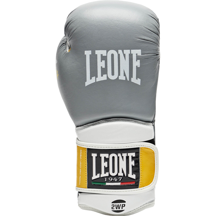 Перчатки Leone Tecnico GN013 16 oz